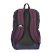 Picture of TRESPASS 25L BACKPACK ALDER